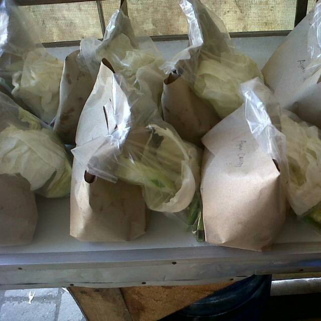

Nasi uduk bungkusan