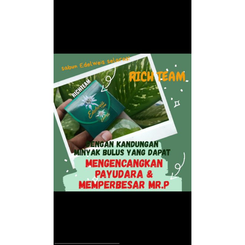 SABUN EDELWEIS/SABUN BULUS