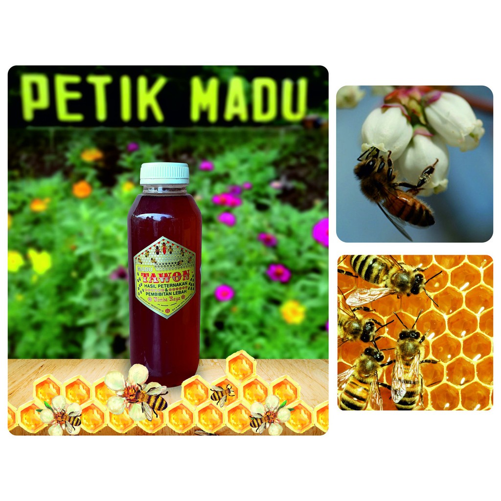 

Madu Bunga Multi flora 500 ml kemasan botol plastik madu asli