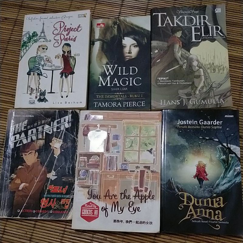 (preloved) NOVEL ORIGINAL [you are the apple of my eye, takdir elir, wild magic, the partner, dll]