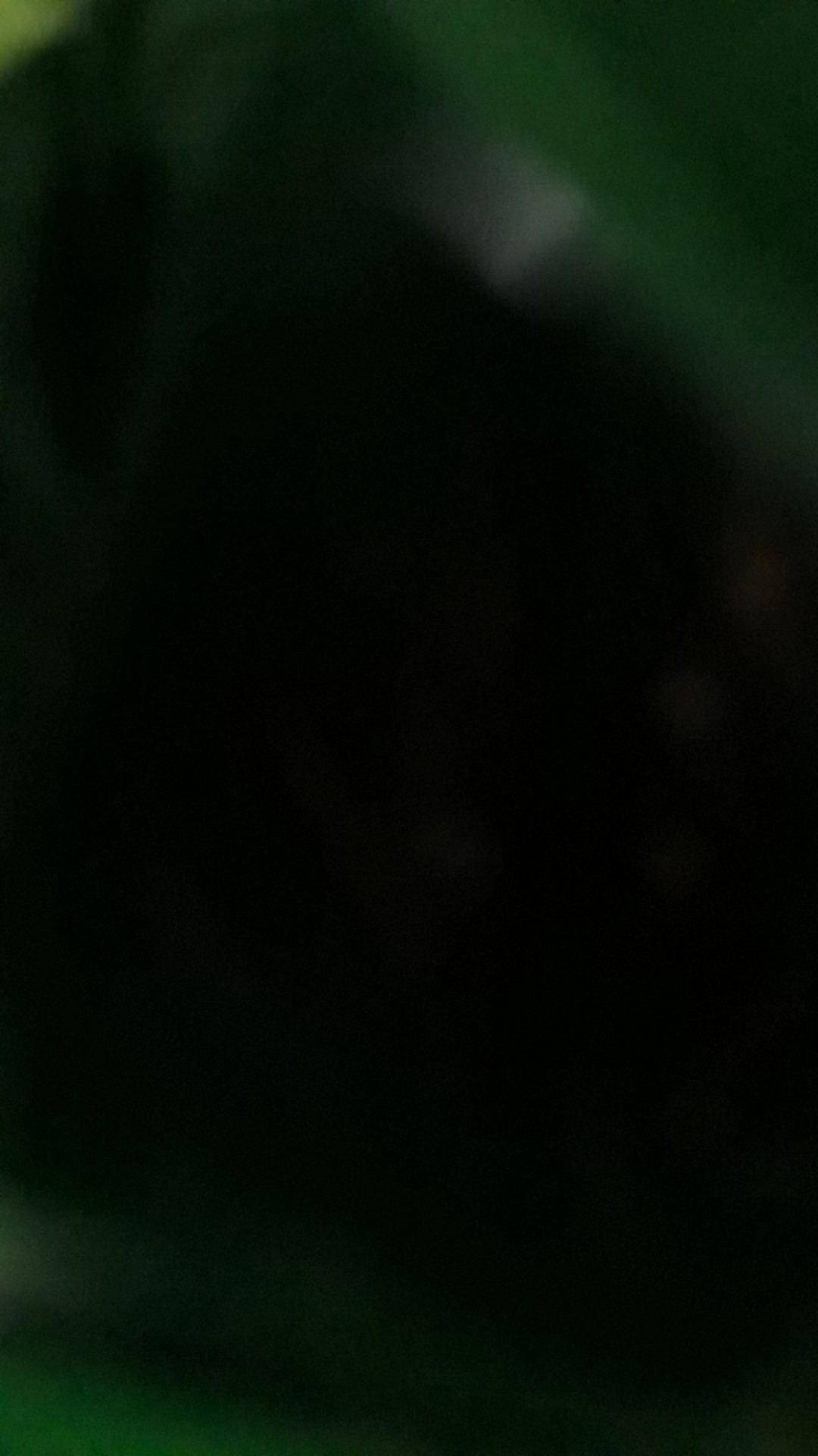 Racun Tikus Kurato Pembasmi Tikus Paling Efektif Didalam Dan Diluar Rumah