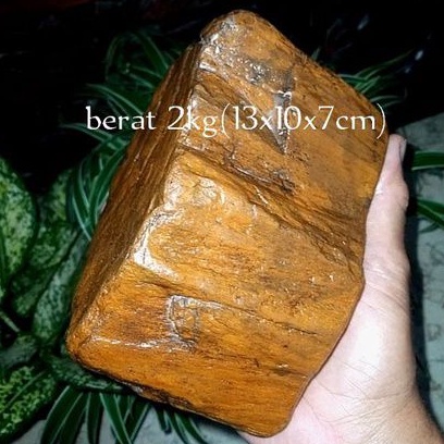 batu akik bahan fosil kayu galih kelor(075)