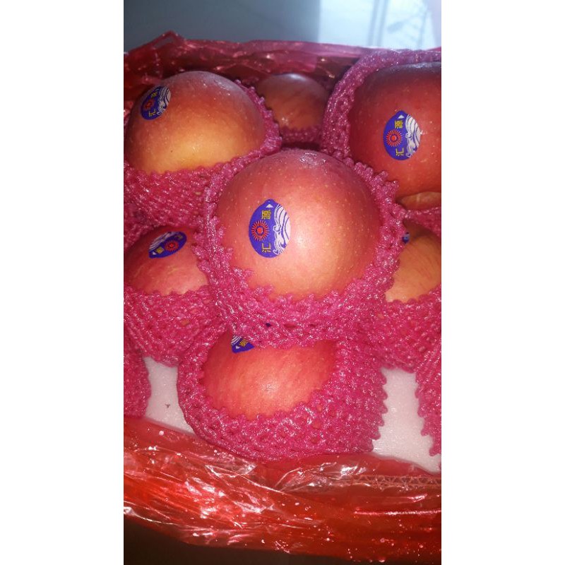 apel fuji uk 100 murah