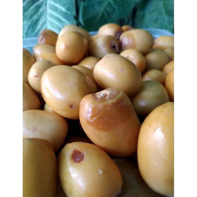 

Produk Terbaik 500Gr Grade 2 Kurma Muda Ruthob Kuning