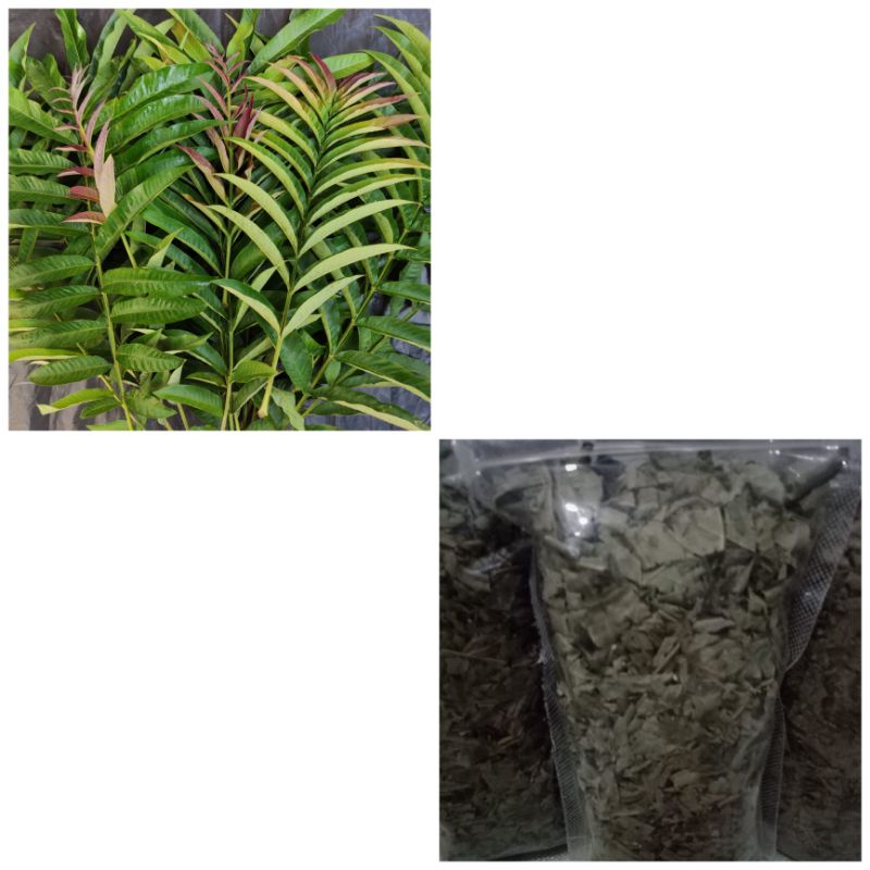 

Teh Daun Sungkai Herbal 100gr