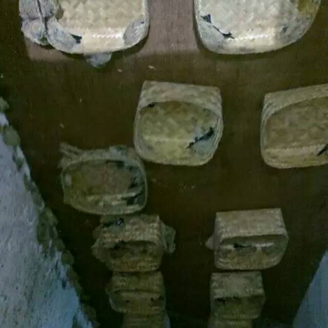 Besek pelapis sirip / sangkar burung walet 25x25x12cm