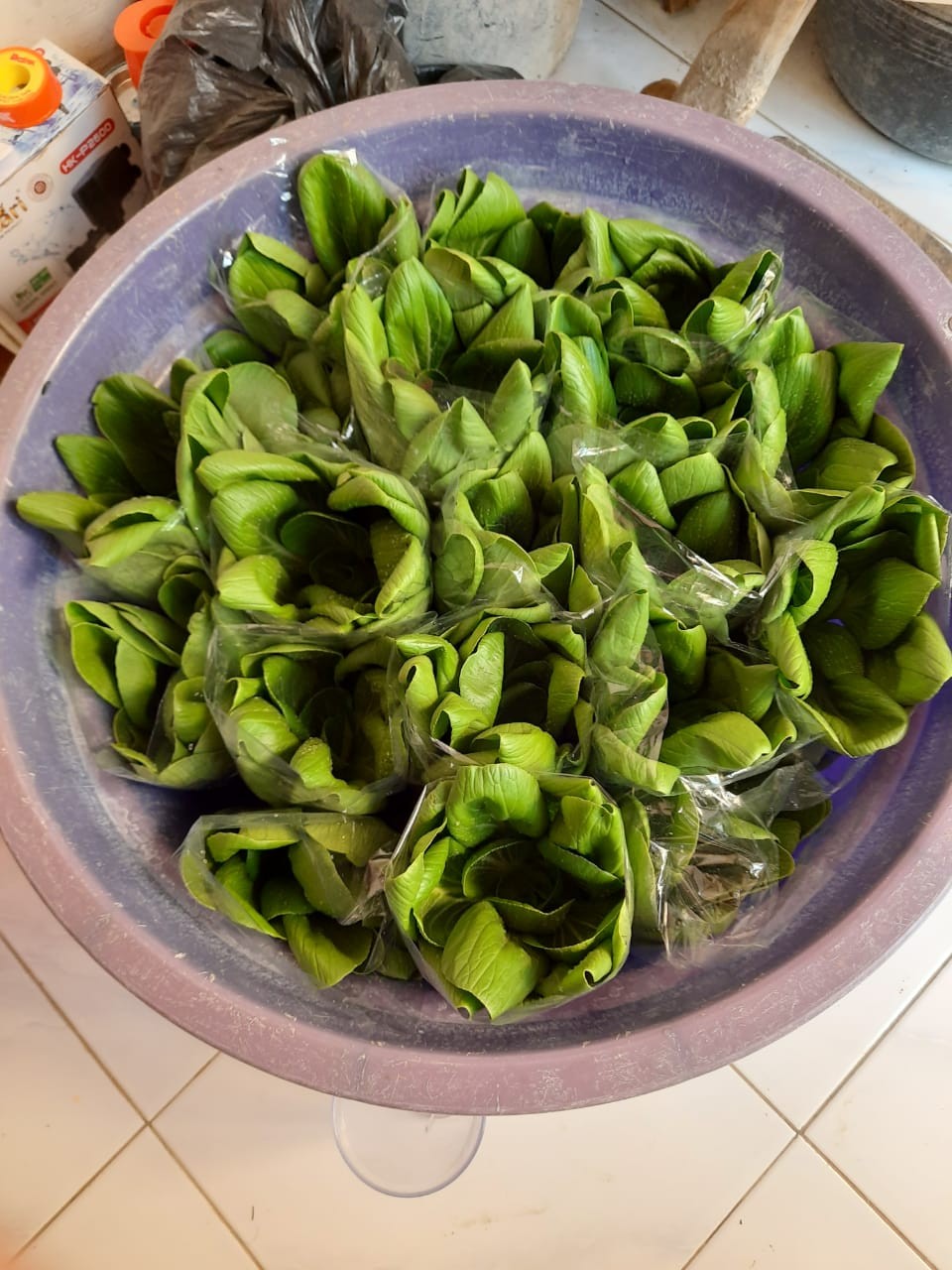 Skinny Moo Mixer Botol Aduk Otomatis / Self Stirring Mug Dtm-620 0536