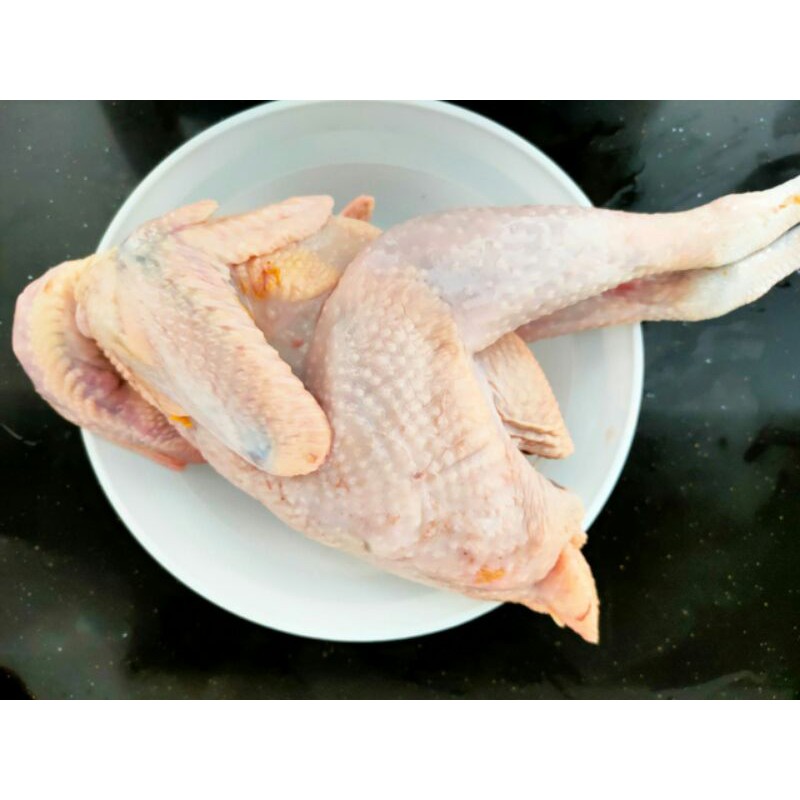 

AYAM KAMPUNG ASLI FRESH UK. 1KG - 1,2KG