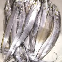 

Ikan Layur Segar [500gr]