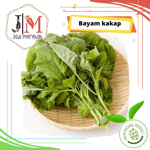 [JM SoFresh] - Bayam Kakap / Bayam Darat / Bayam Potong