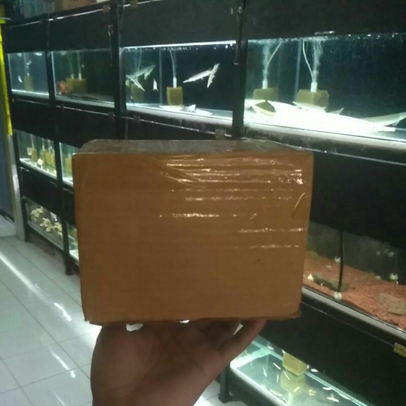 

kotak paket produk