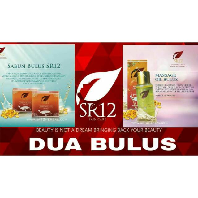 

Duo bulus