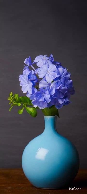 Sarung Batik Anak Pekalongan Motif Komlet