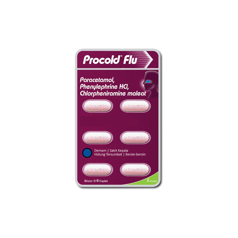 PROCOLD FLU - Obat Flu