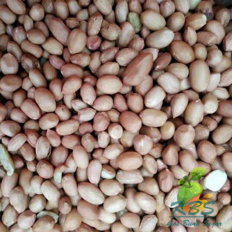 

kacang sudah kupas 500gram