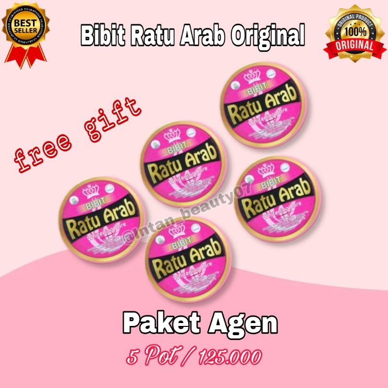 Bibit Ratu Arab (Paket Agen 5 Pot)
