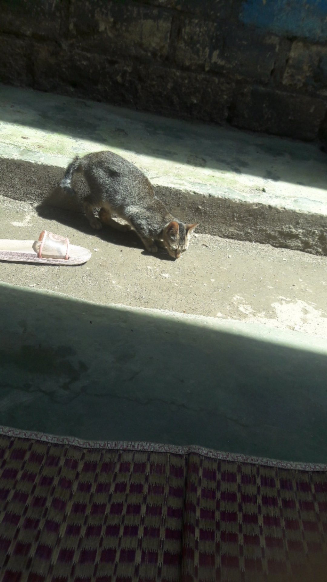 Kunci Pintu Kamar Rumah Kantor Set Kecil Handle Hendel Pintu Kayu Mini