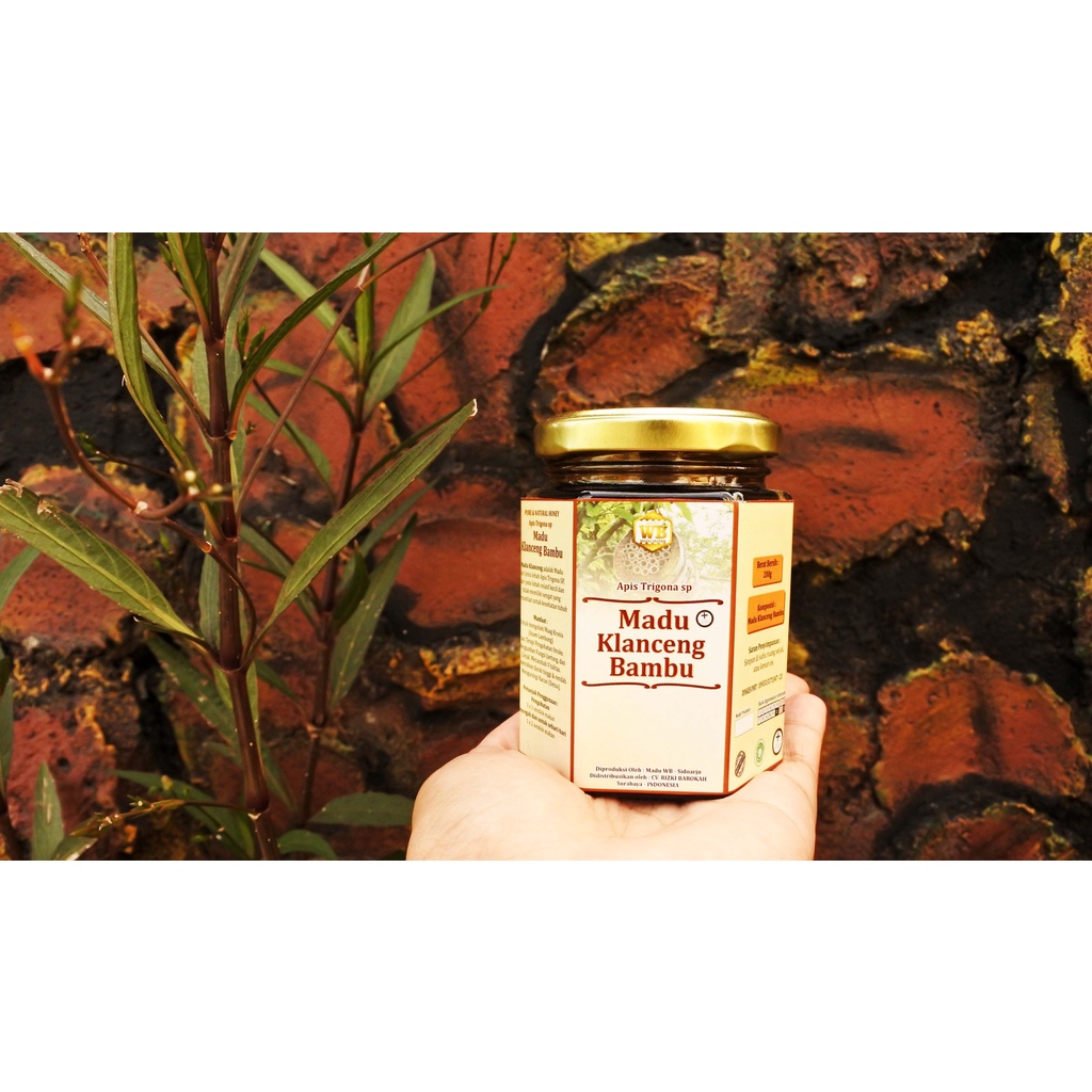 

Madu Klanceng Bambu / Lebah Apis Trigona-Garansi Murni & Asli 100%- Kemasan Try kit