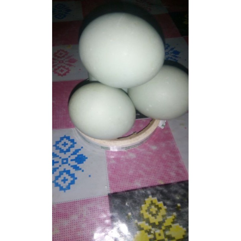 

telur Asin matang/butir 8000