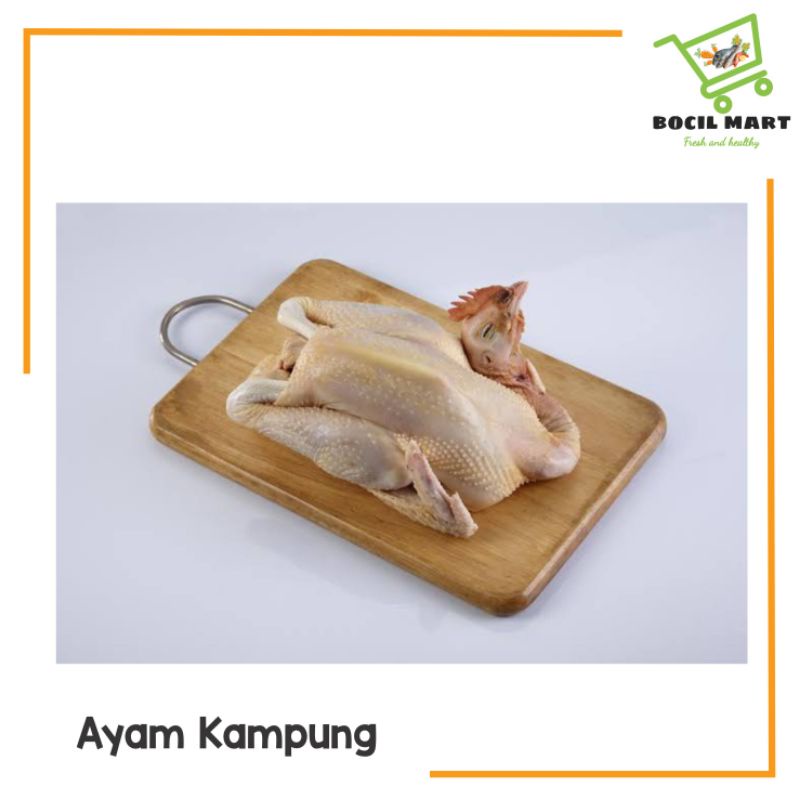 

AYAM KAMPUNG 1 EKOR TERMASUK KEPALA DAN CEKER BOCIL MART