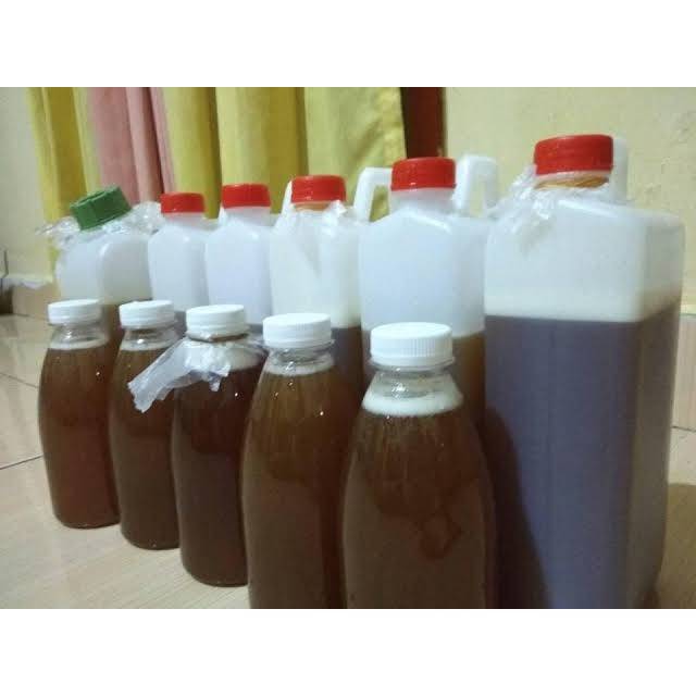

Madu liar hutan sialang sumatera barat 500 ml