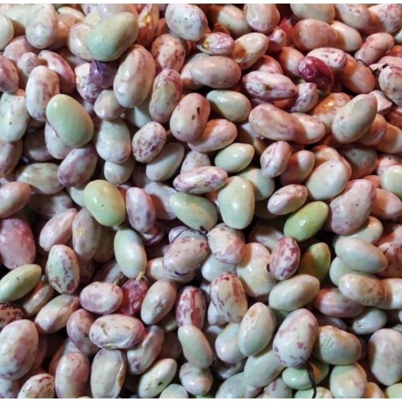 

Kacang Endul