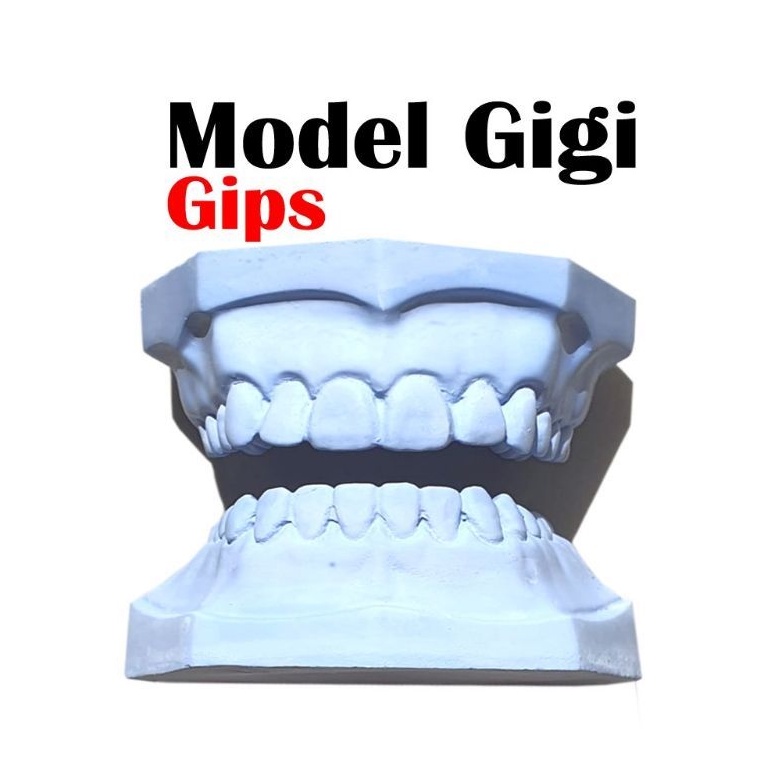 gigi gips / model gigi