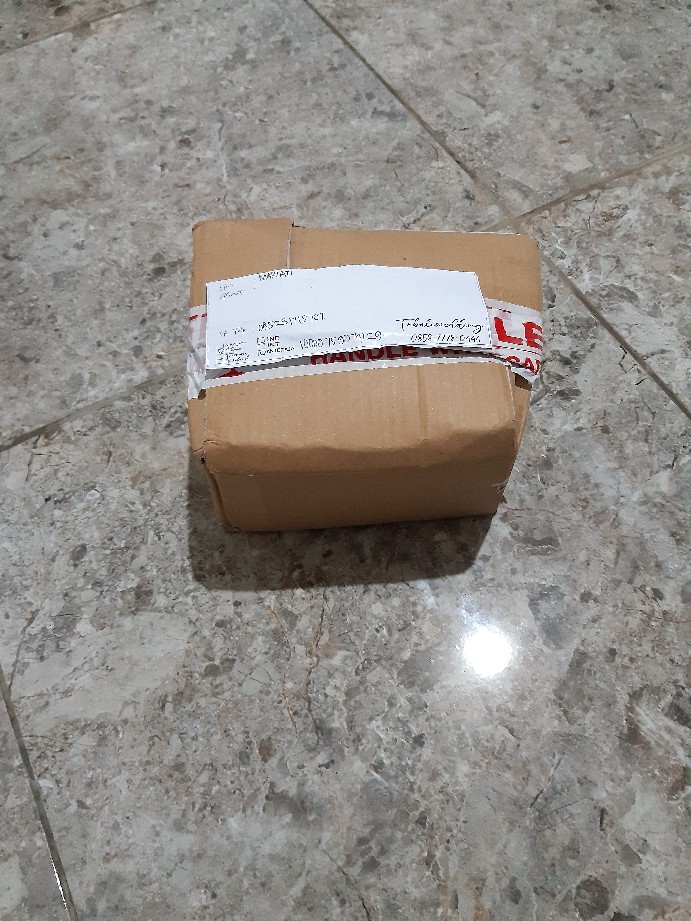 Ringbox Terrrarium Only Mini