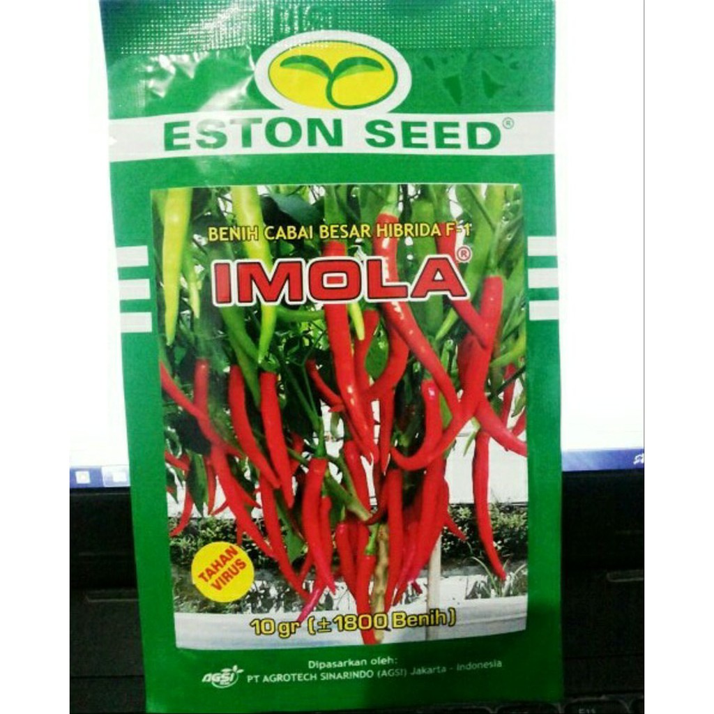 

Cabai Besar IMOLA 10 gr