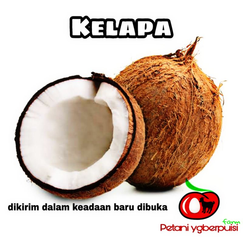 

Kelapa utuh atau setengah