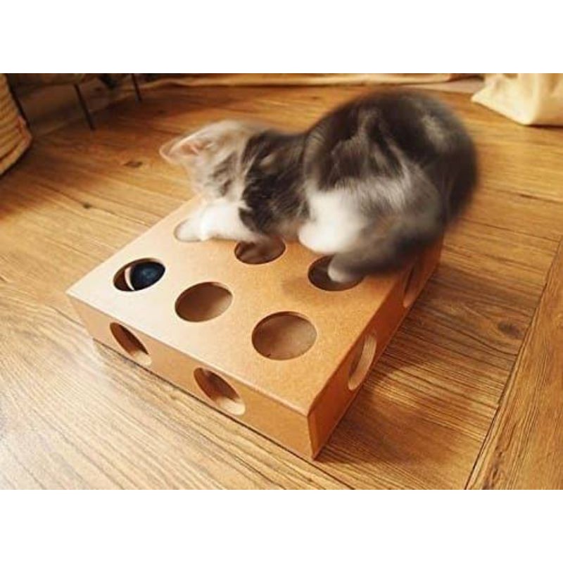 Kotak Mainan Kucing (free bola)