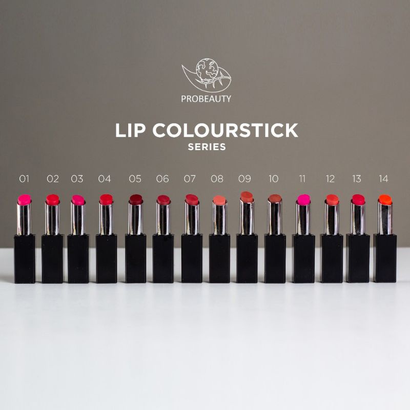 PROBEAUTY LIP COLOURSTICK MATTE