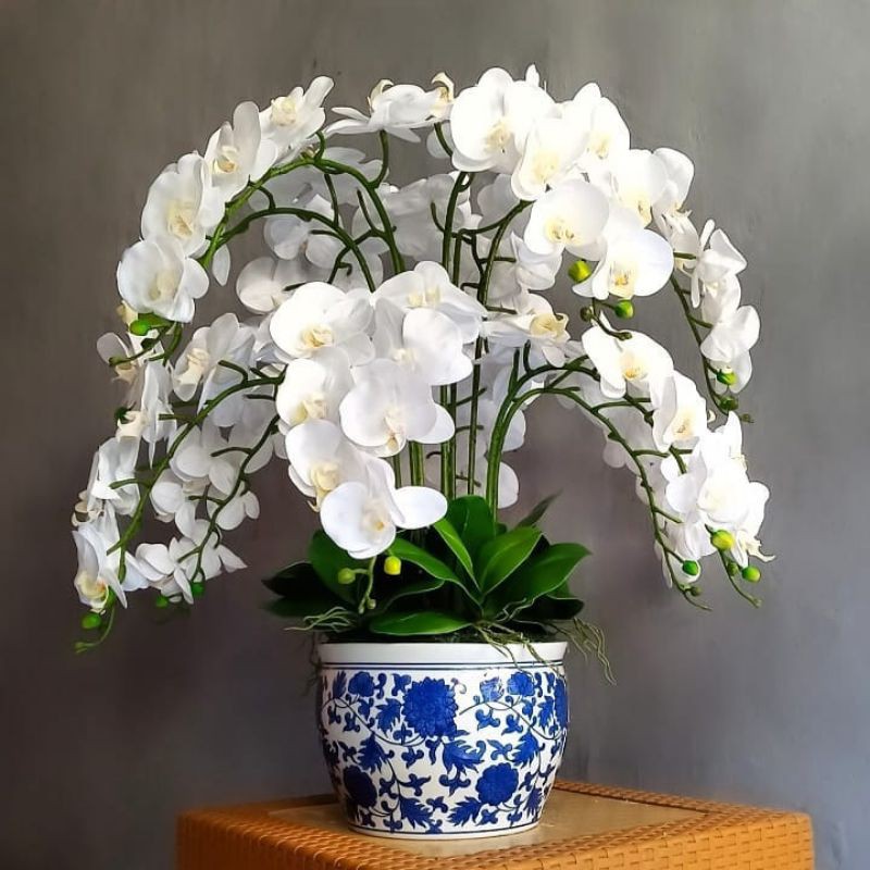 Rangkaian Bunga Anggrek latex super &amp; premium isi 12 tangkai bunga vas keramik cina