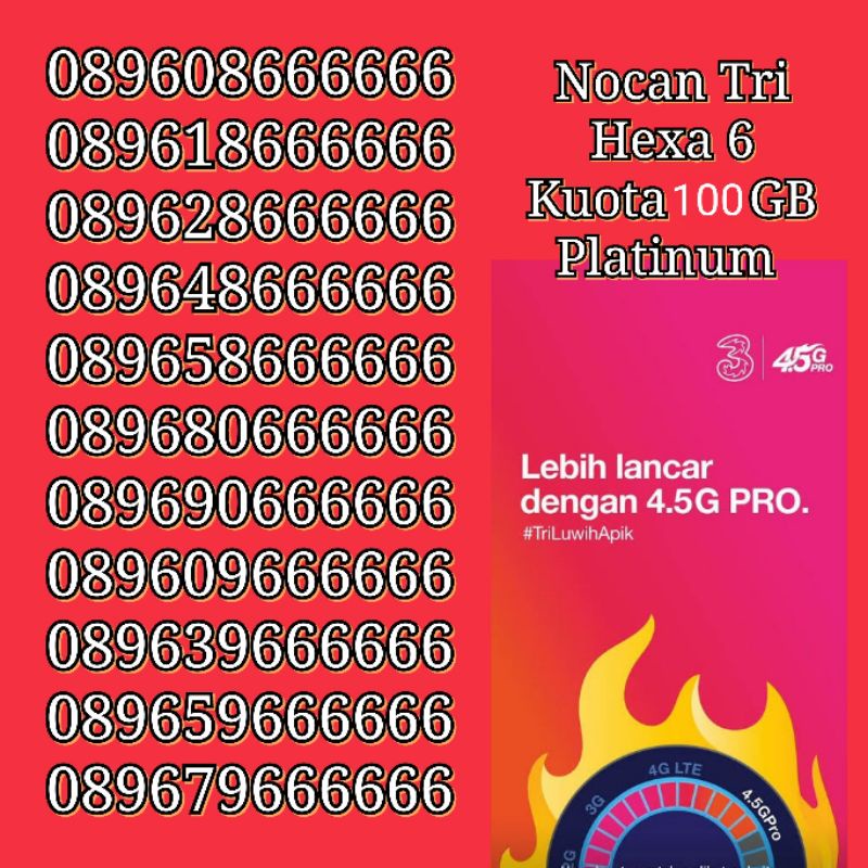 NOCAN Nomor Cantik Hexa Heksa 6 Kartu Perdana Simcard Tri Three 3 4G LTE Kuota 100 GBPlatinum
