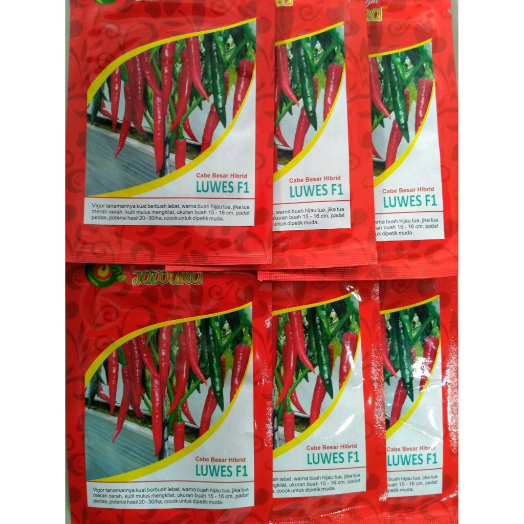 Benih Cabe Merah Besar Hibrida LUWES F1-bibit cabe merah Limited