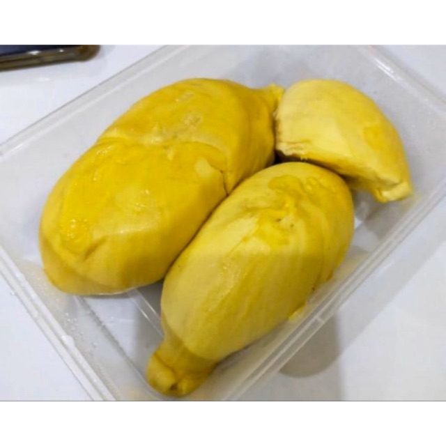 

Durian montong palu