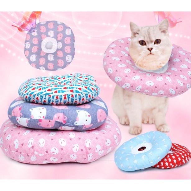 Harga Cone Kucing Bantal Terbaru November 2021  BigGo Indonesia