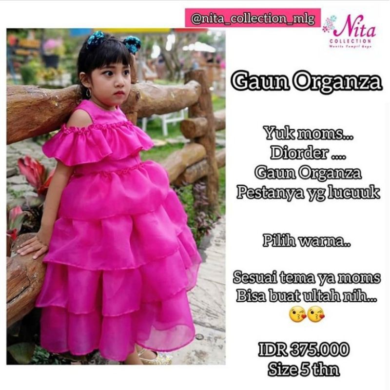 Gaun Anak Organza