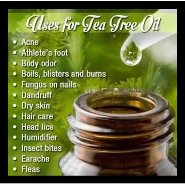 Tea Tree Oil/Pure Essential Oil 5 Ml BIG SALE