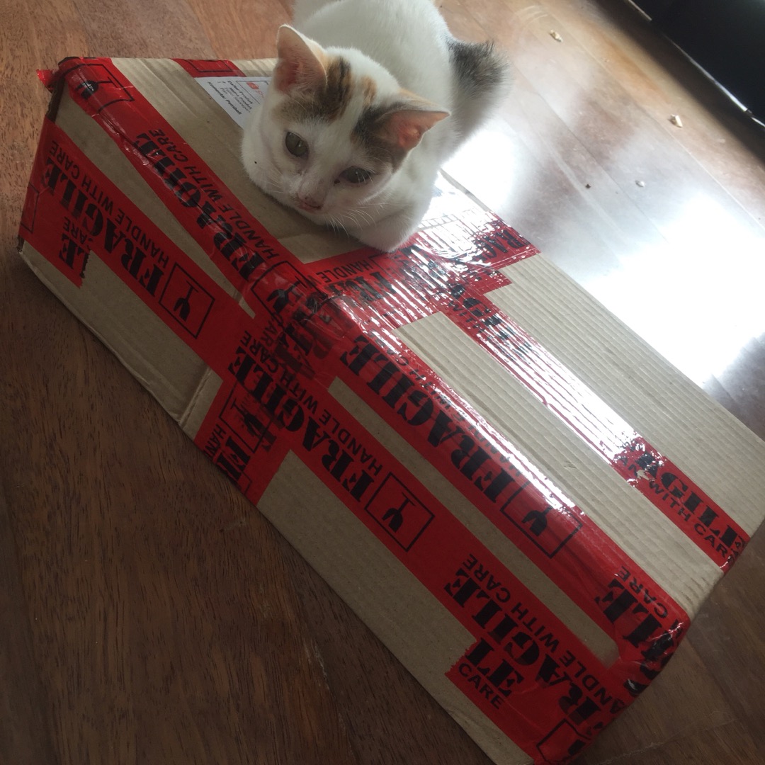 Panci Susu Saucepan 20 Cm Bima Chefs Shallow Pan