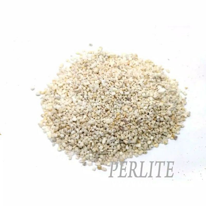 Perlite 200gram Media Tanam kaktus anggrek Calathea aglonema supaya porous