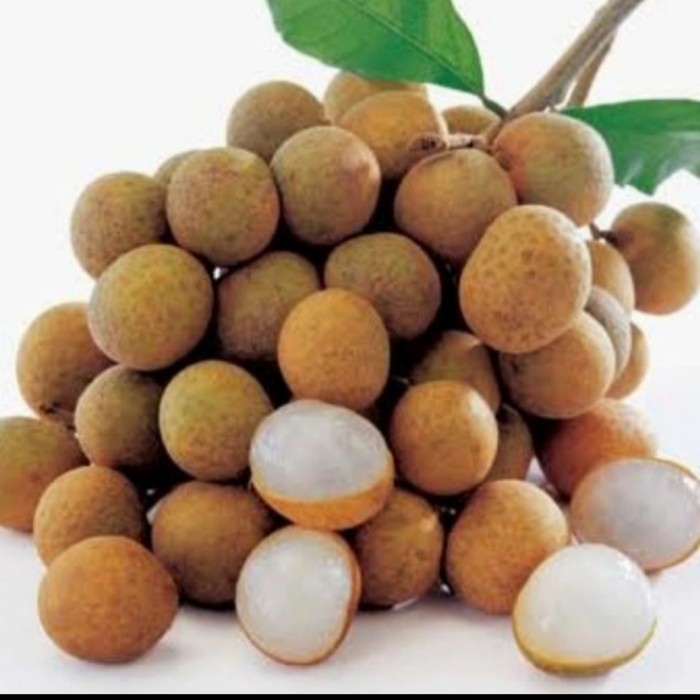 

BUAH LENGKENG SEGAR SUPER QUALITY 500gr