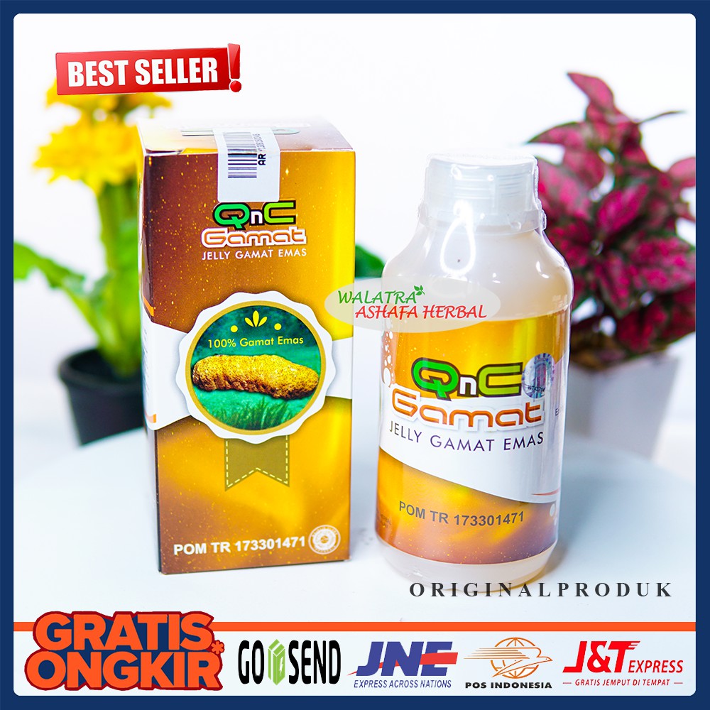 [Best Seller] QnC Jelly Gamat - Jelli Gamat - Jelly Gamat Emas - Q&C Jeli Gamat Asli Original