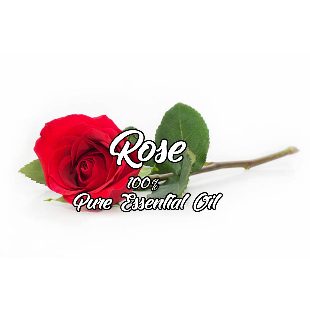Rose 100% Pure Essential Oil 1 L