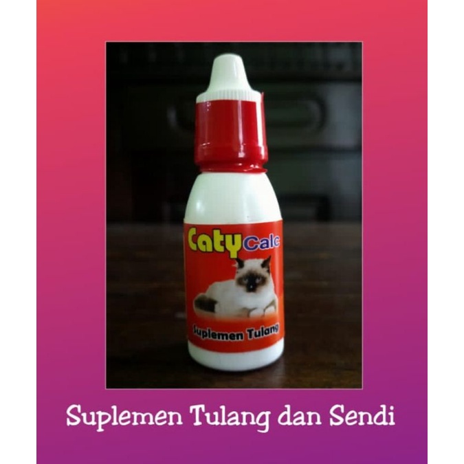OBAT TULANG KUCING