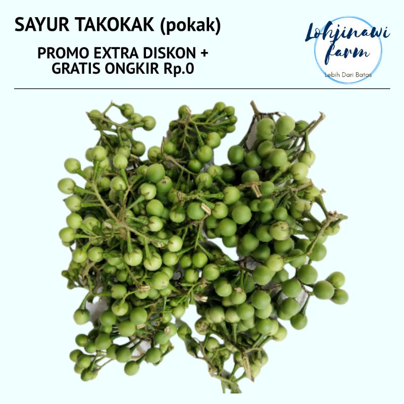 

LJ Sayur Takokak, Pokak, Cepokak Segar 100 gr