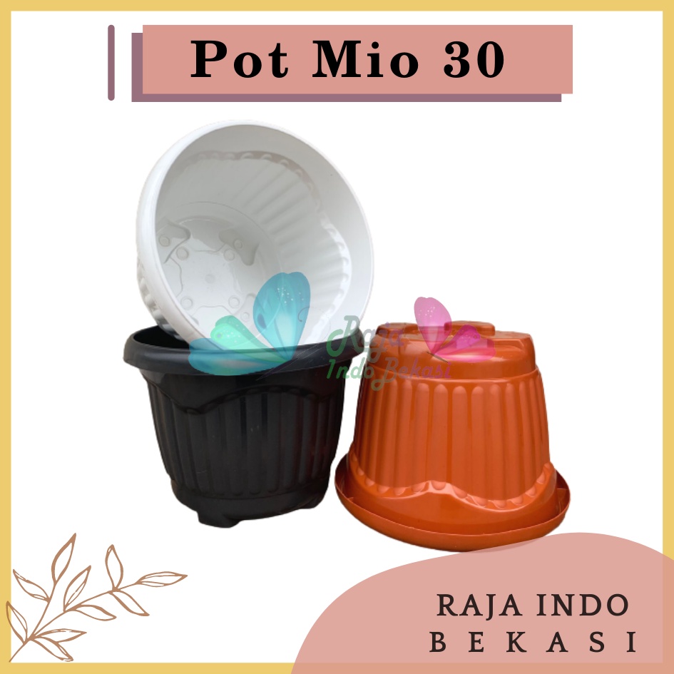 Pot Shallom Mio 30 Putih Hitam Merah BataTerracota Terracotta Merah Coklat Pot Bunga Plastik Tebal Murah Besar Kuat Motif Model Belimbing 30 cm Putih Hitam Selusin Lusinan Tebal - SHALLOM MIO 30 pot bunga bulat besar tebal murah