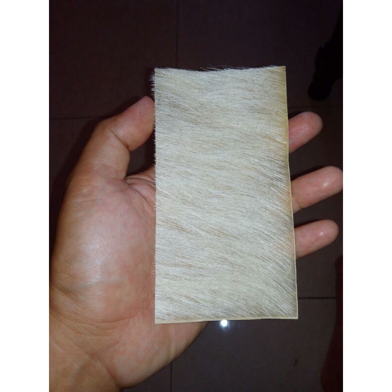 kulit kijang putih antik