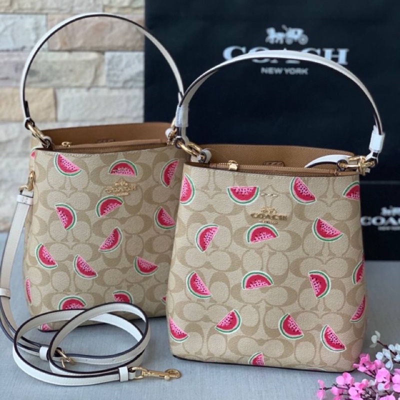 Coach Charlie Bucket 21 Bag Watermelon Print