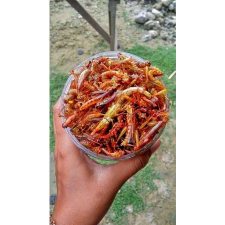 

belalang goreng utis omun / walang goreng utis omun